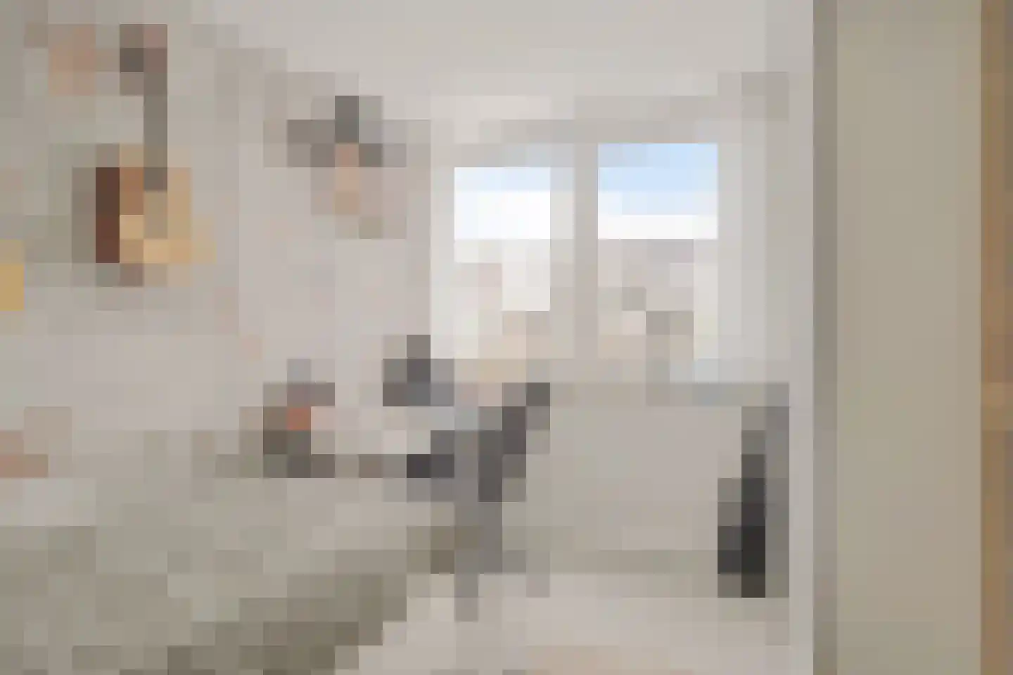Fritz Langstrook 21 Zoetermeer thumbnail 44