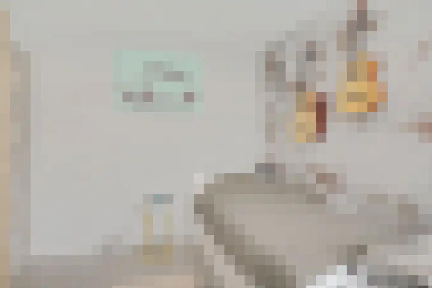 Fritz Langstrook 21 Zoetermeer thumbnail 45