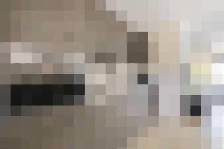 Fröbelstraat 1 Wormerveer thumbnail 5