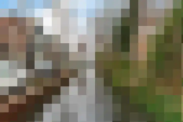 Fröbelstraat 3 Wormerveer thumbnail 35