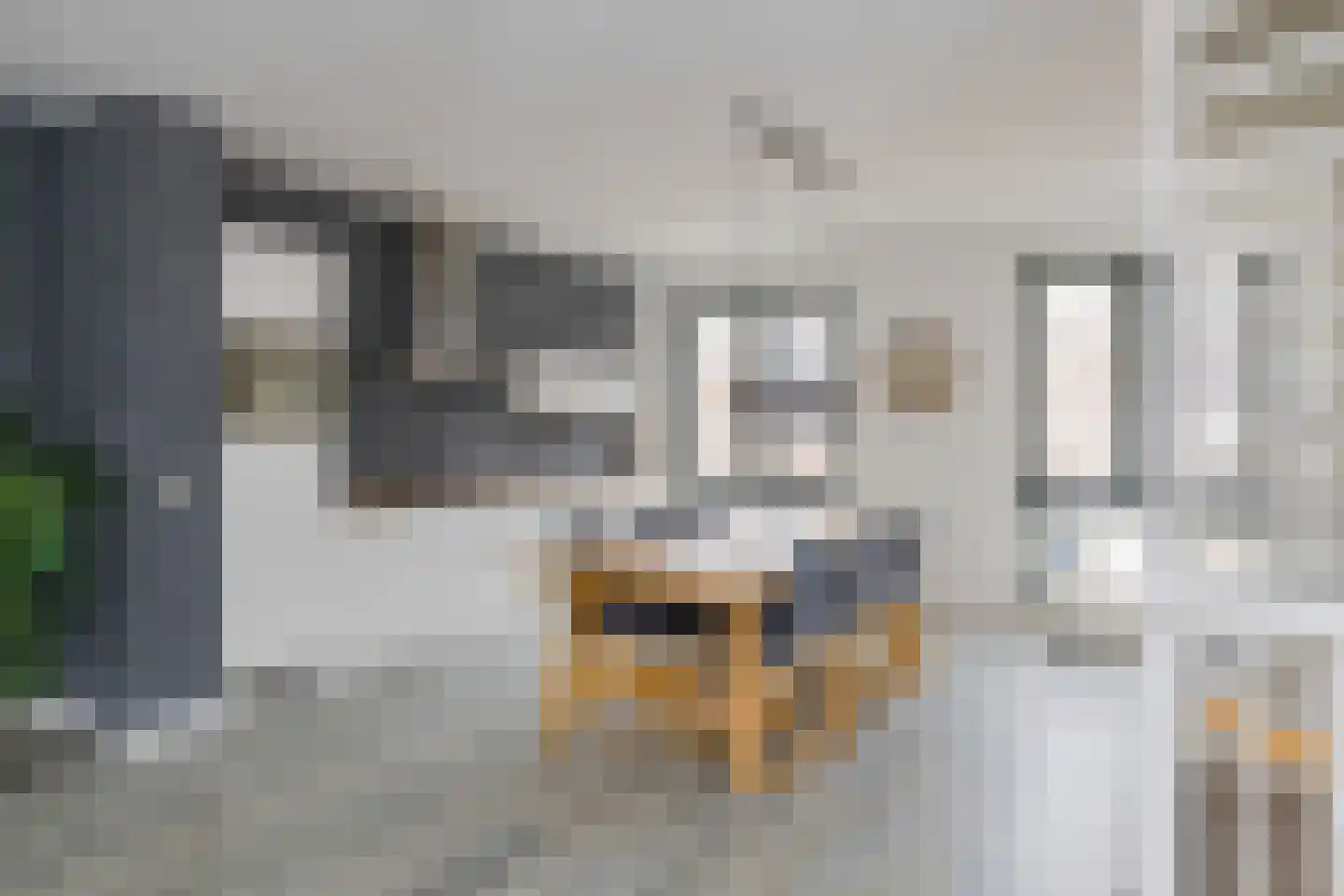 Frogerstraat 41 IJmuiden thumbnail 21