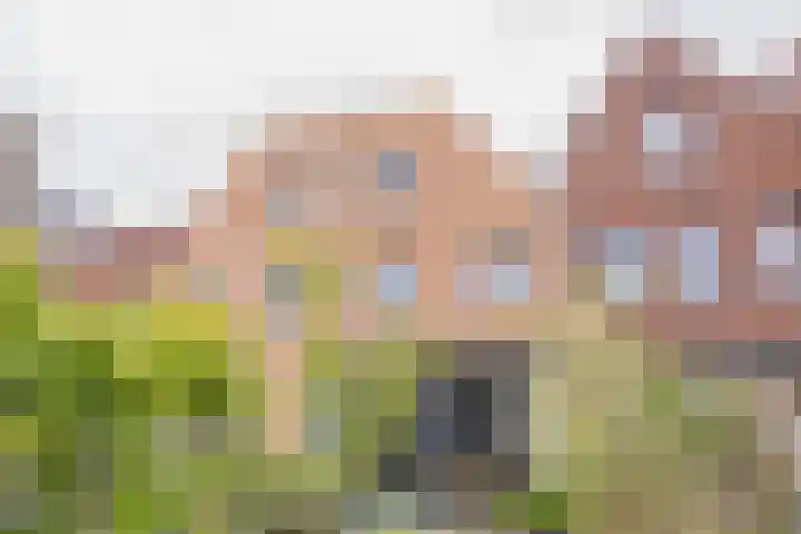 Frogerstraat 49 IJmuiden thumbnail 24