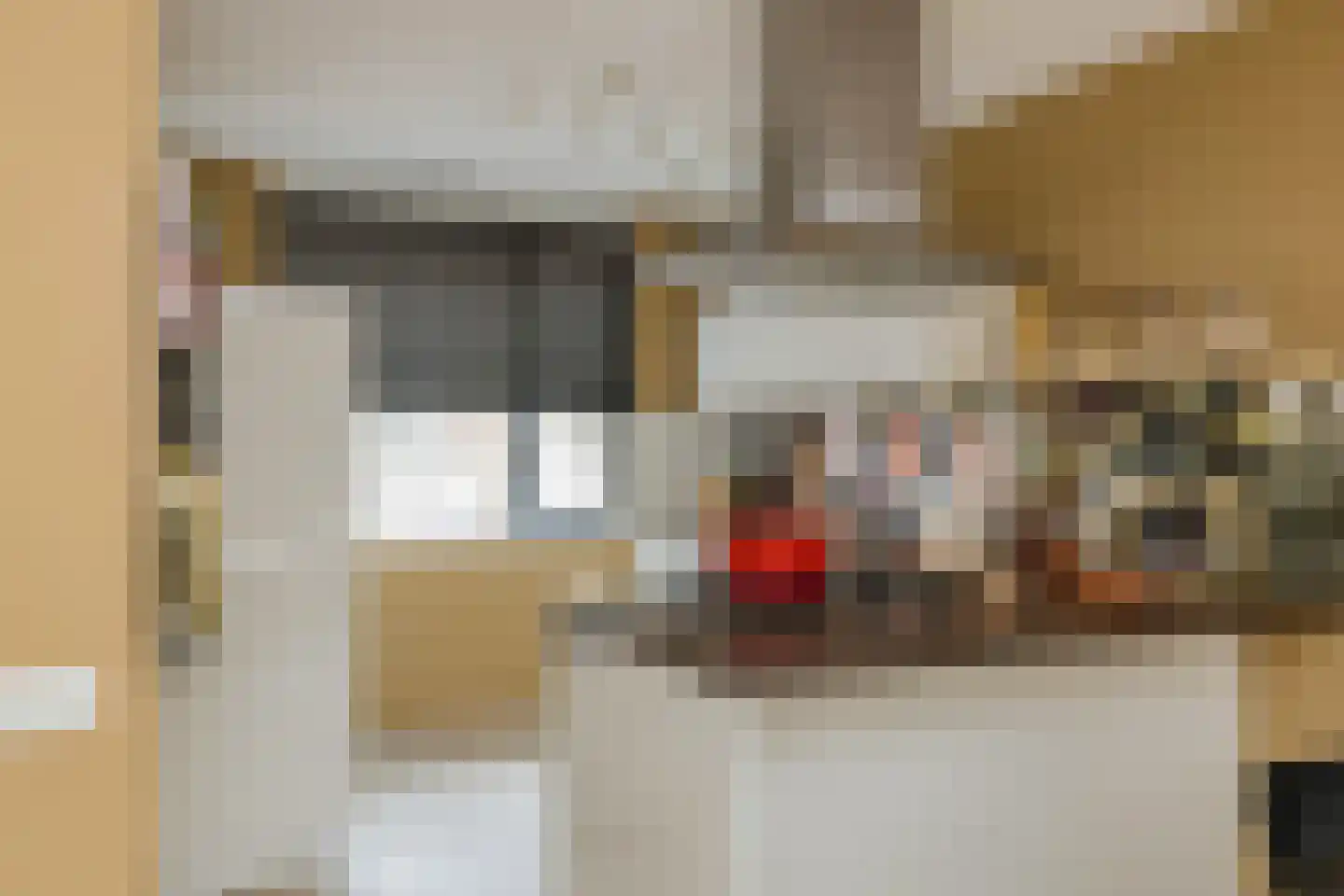 Frogerstraat 82 IJmuiden thumbnail 14