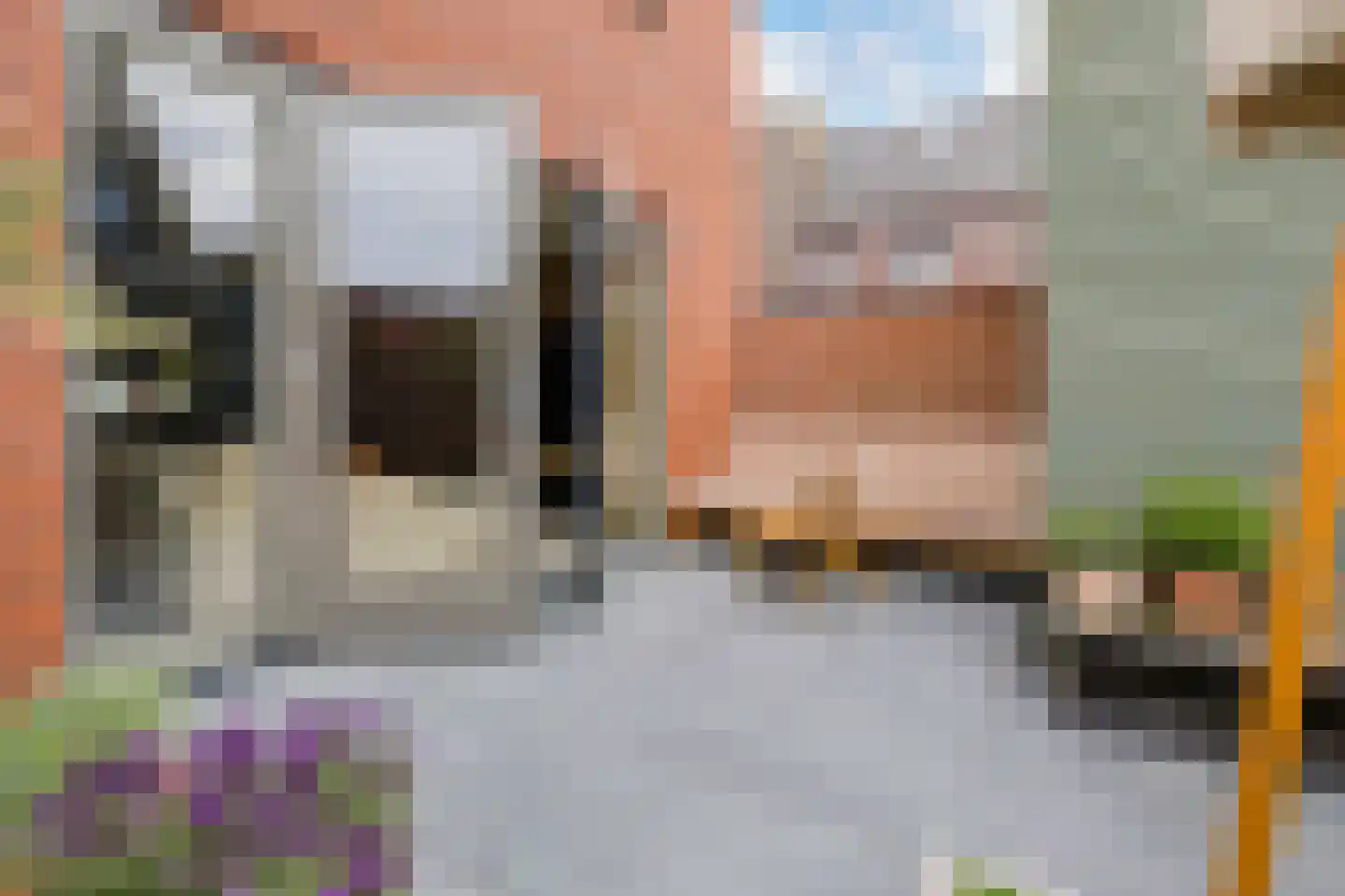 Frogerstraat 82 IJmuiden thumbnail 19