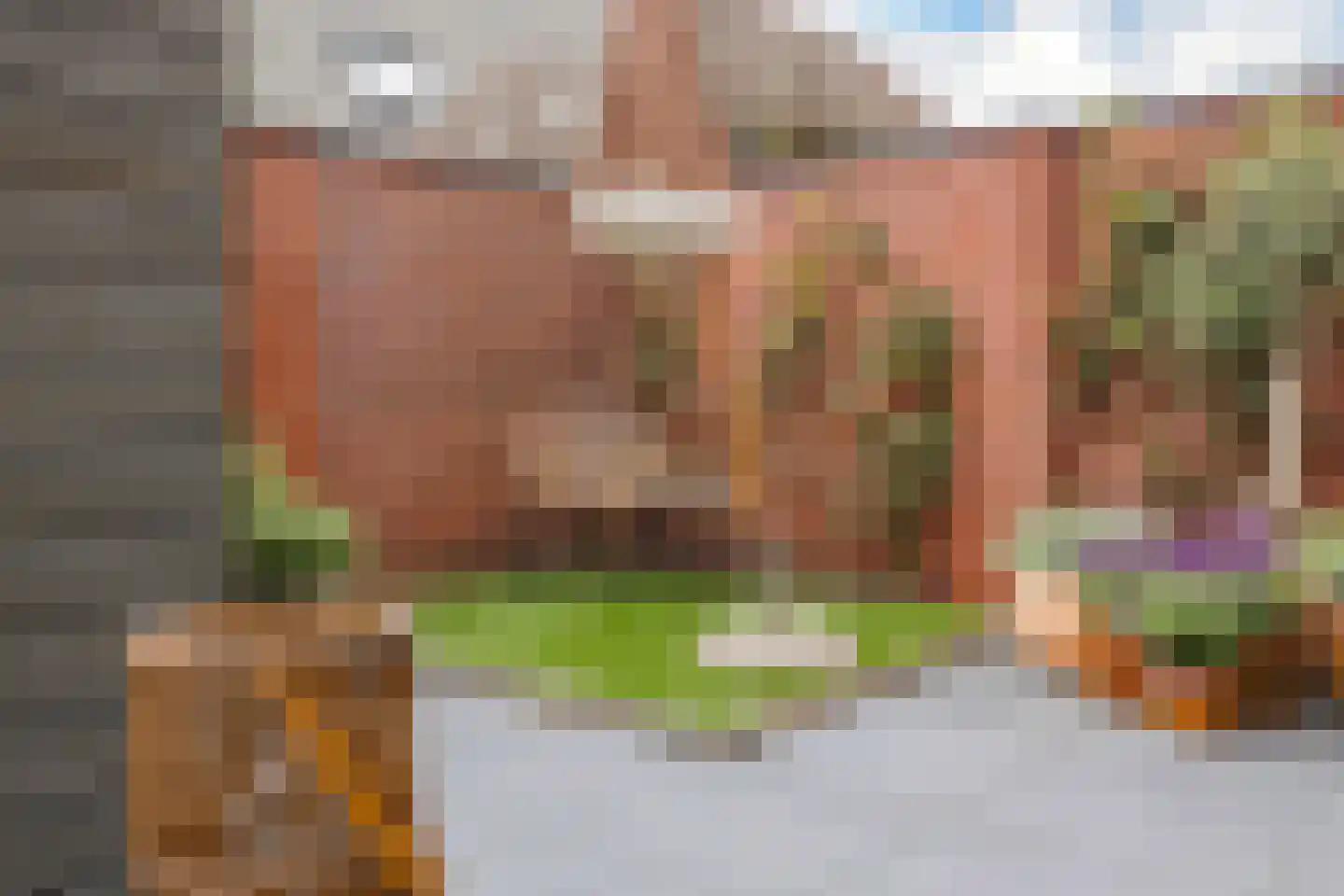 Frogerstraat 82 IJmuiden thumbnail 21
