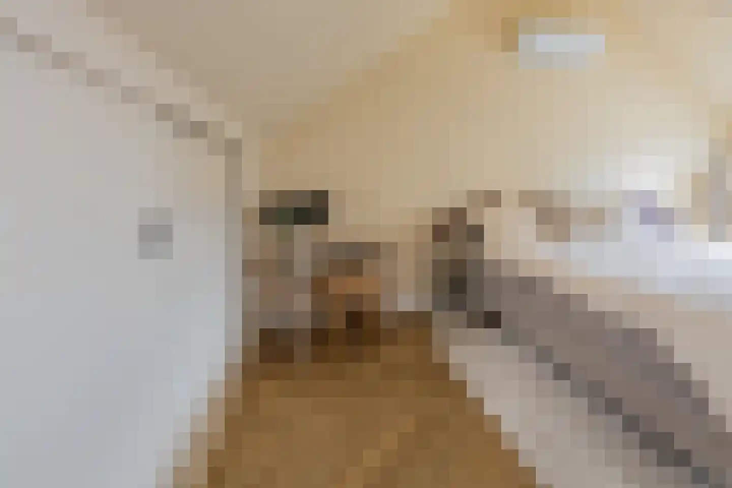 Frogerstraat 82 IJmuiden thumbnail 38