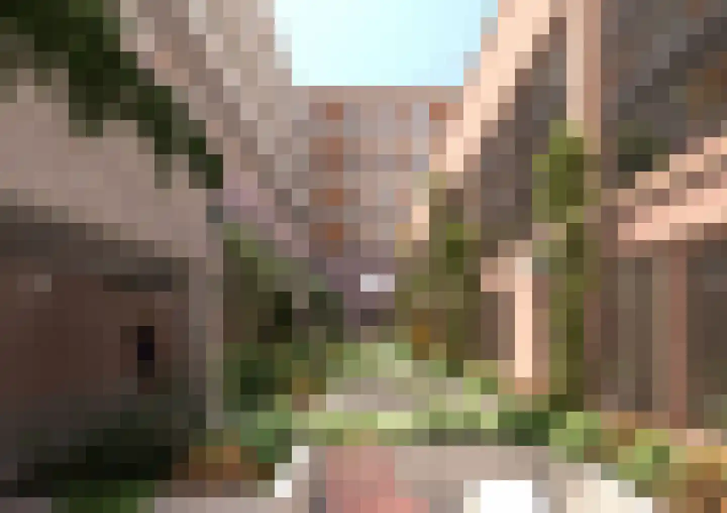 Frombergdwarsstraat Arnhem thumbnail 5