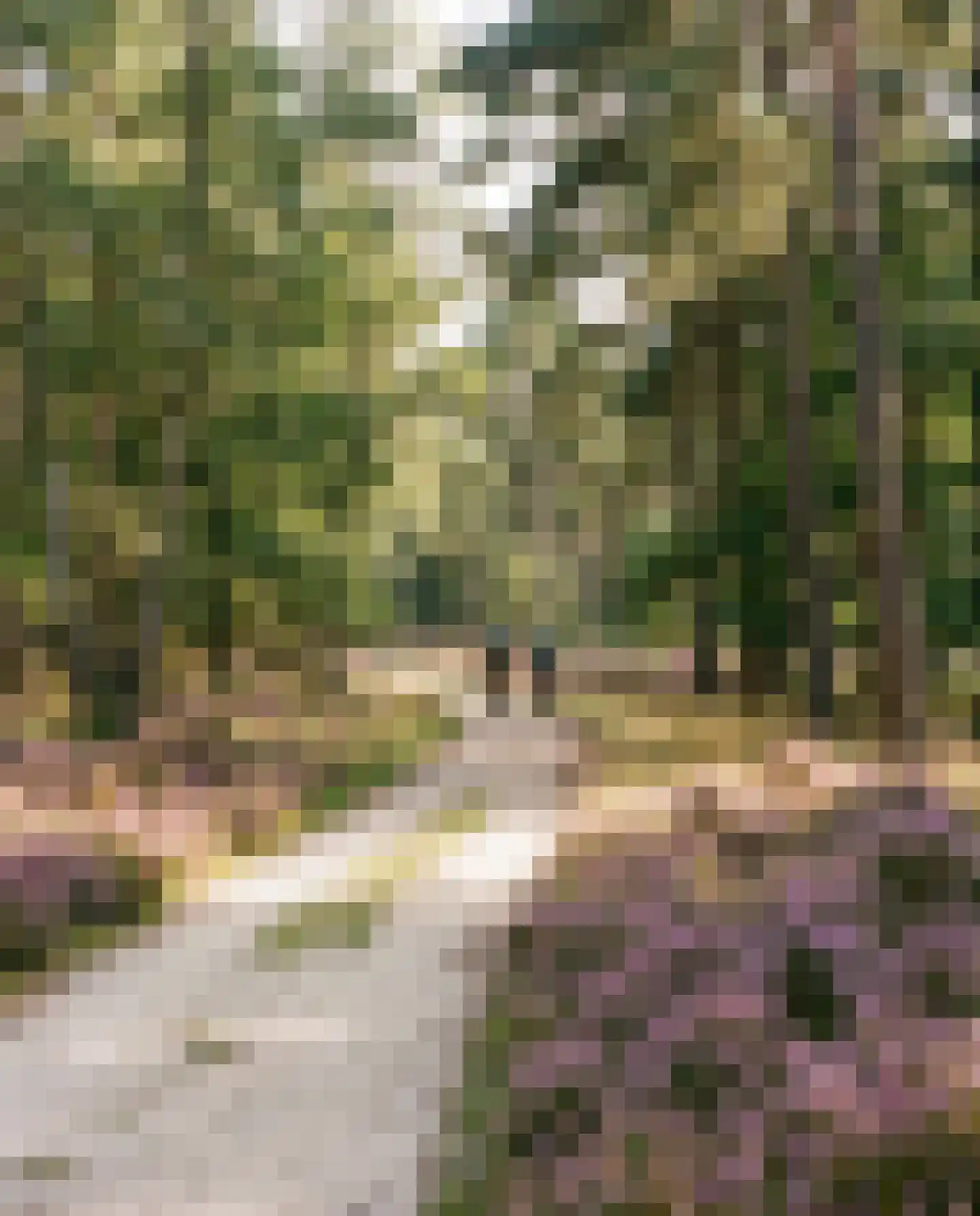 Frombergdwarsstraat Arnhem thumbnail 7