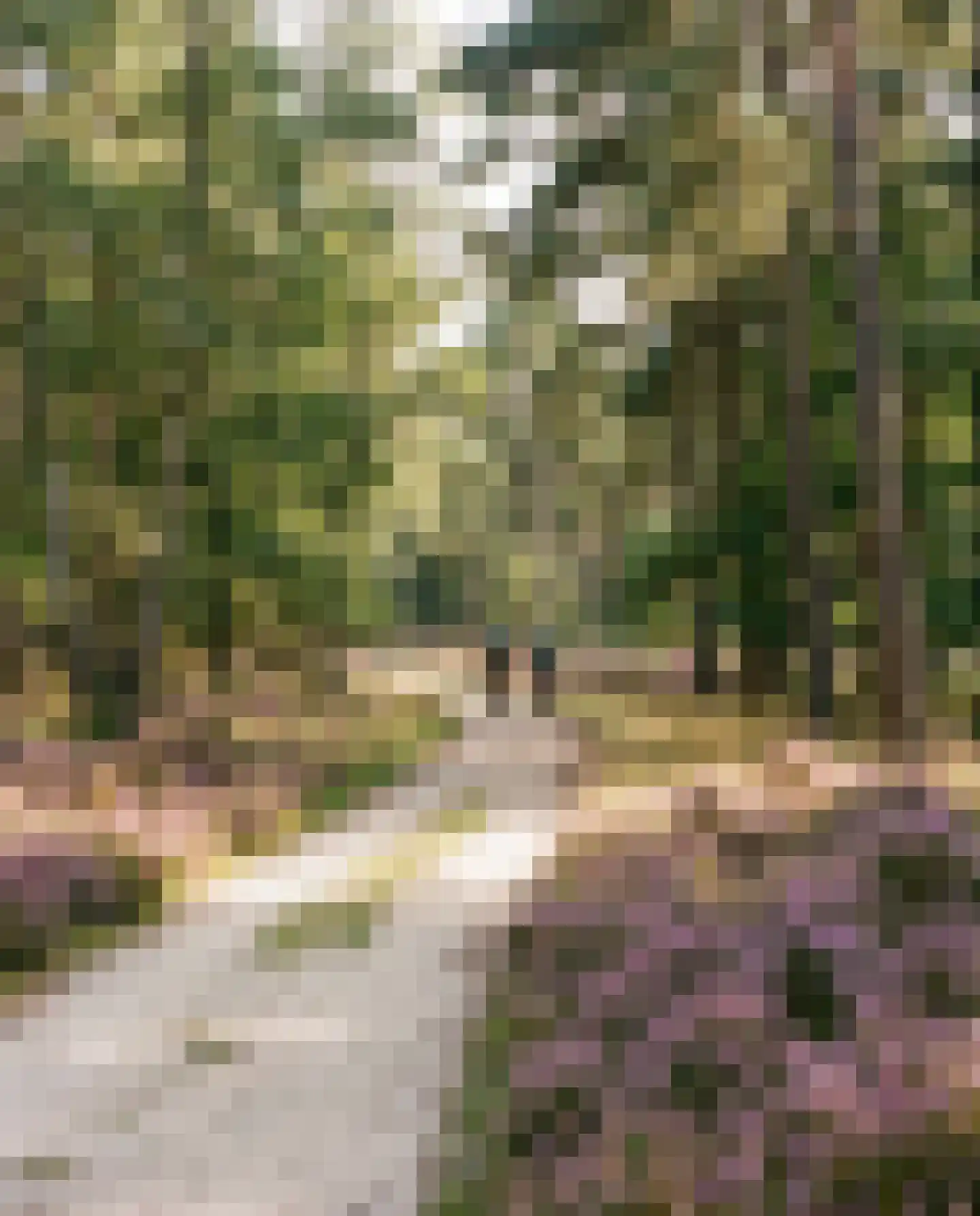 Frombergdwarsstraat Arnhem thumbnail 7