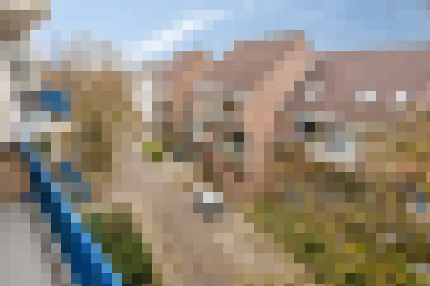 Frombergstraat 13 Arnhem thumbnail 12