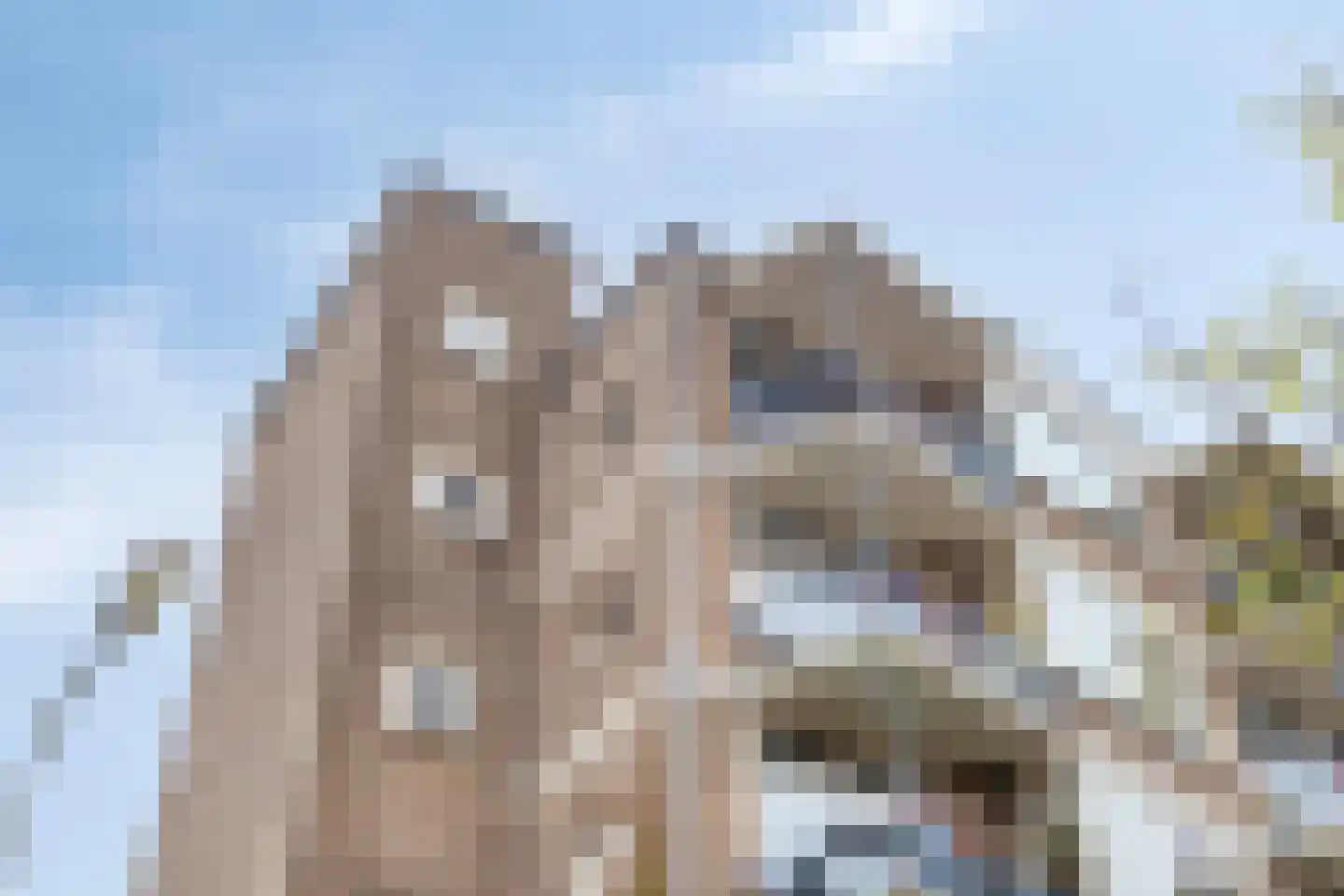 Frombergstraat 15 Arnhem thumbnail 27