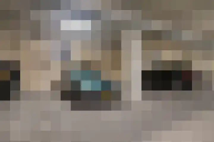 Frombergstraat 60 Arnhem thumbnail 32
