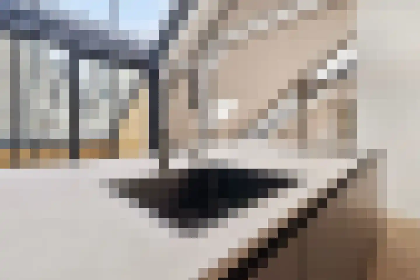 Frontensingel 1 E 02 Maastricht thumbnail 10