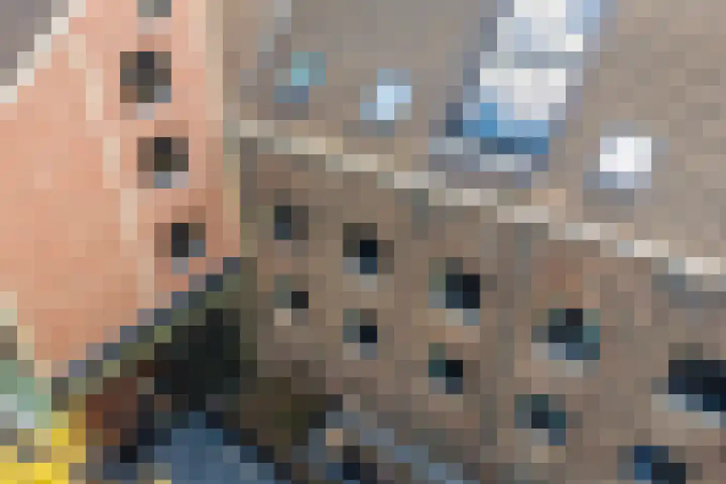 Frontensingel 1 E 02 Maastricht thumbnail 25