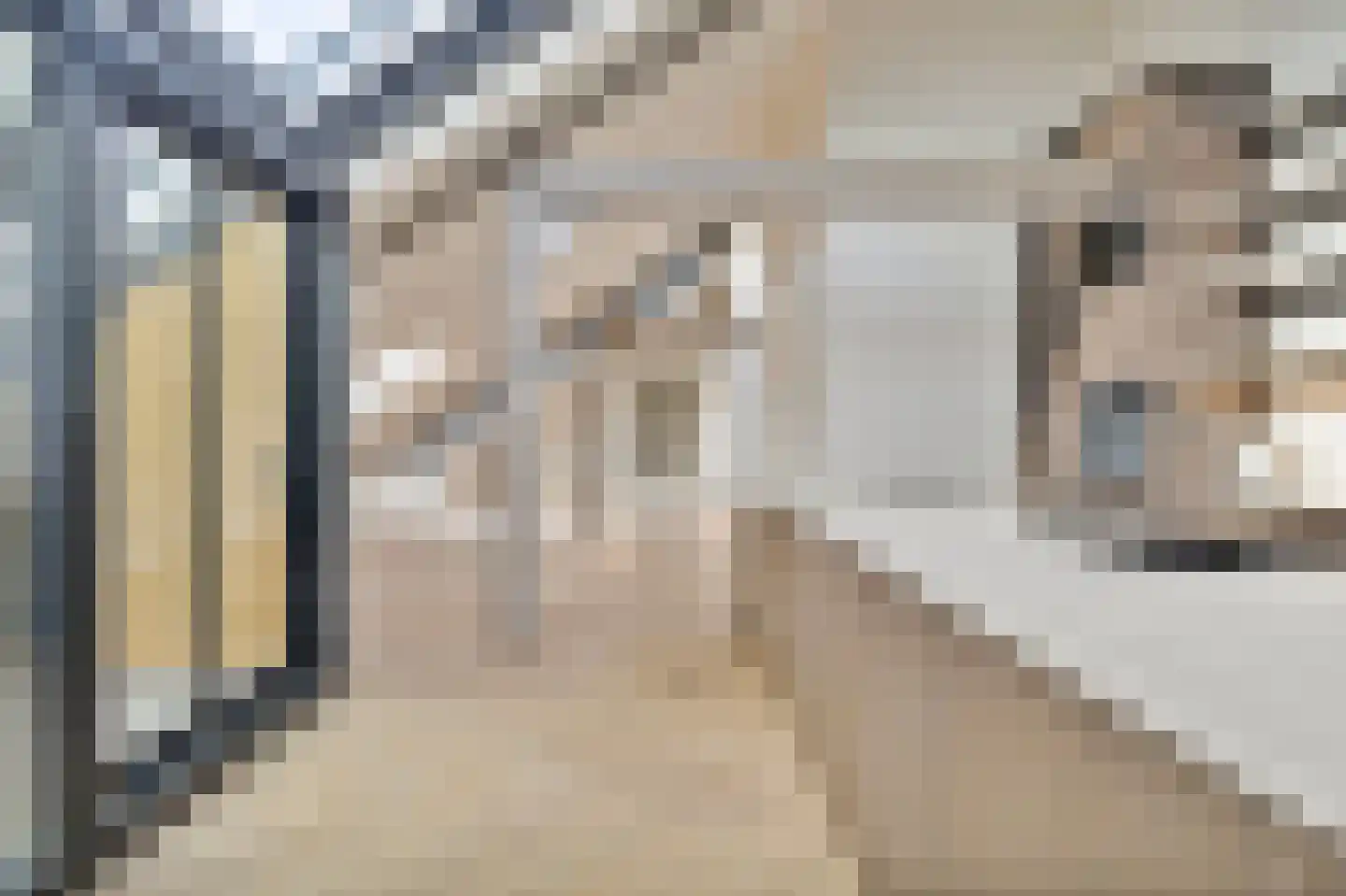 Frontensingel 1 E 02 Maastricht thumbnail 9