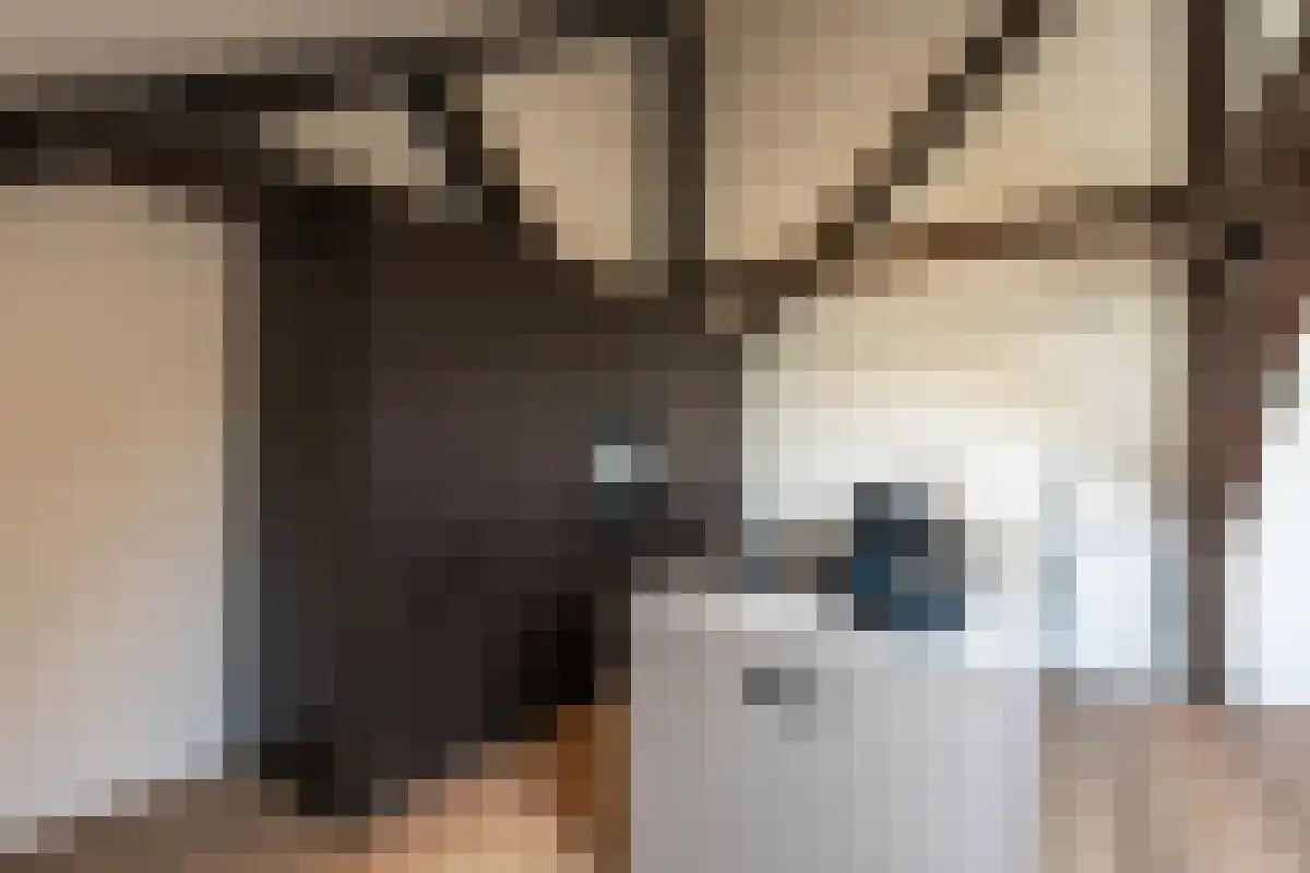 Frontensingel 3 Maastricht thumbnail 4