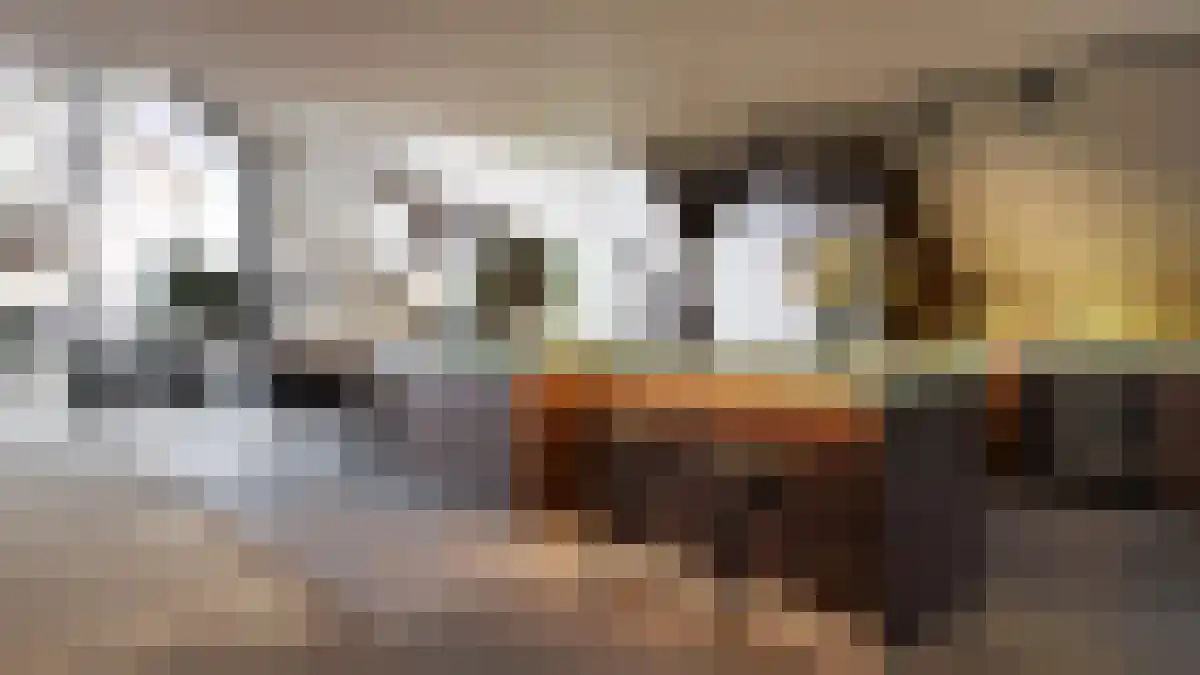 Frontensingel 3 Maastricht thumbnail 5