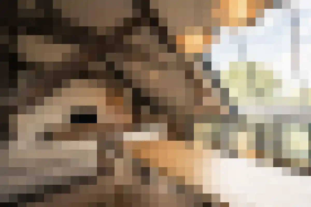 Frontensingel 3 Maastricht thumbnail 6