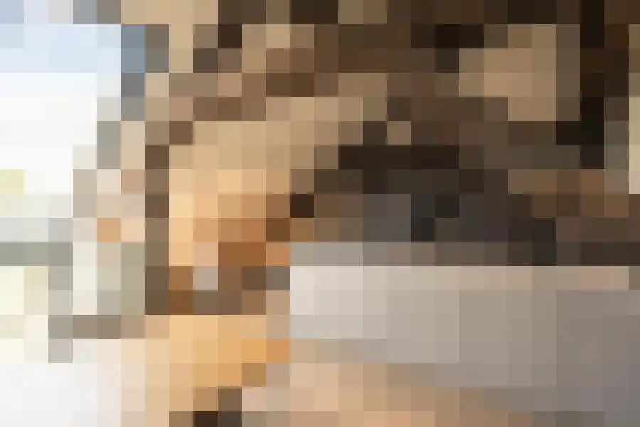 Frontensingel 5 Maastricht thumbnail 7