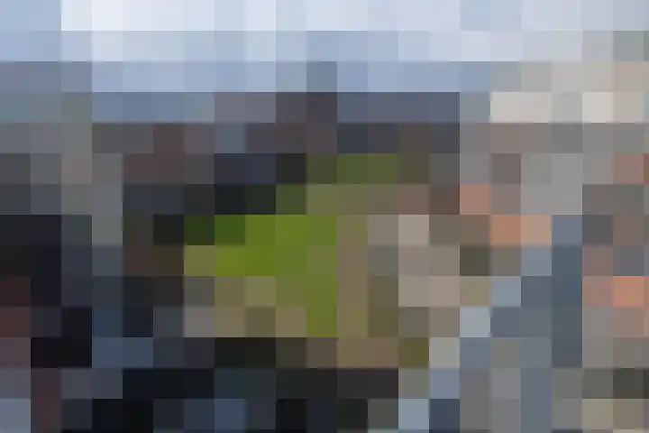 Frontonstraat 31 Helmond foto 2