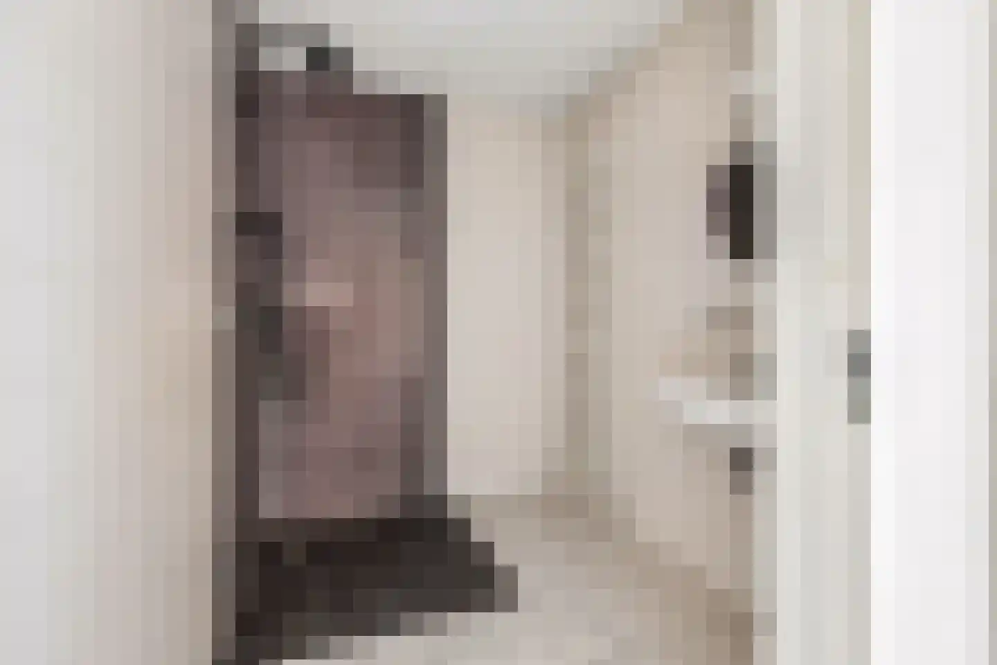 Frontonstraat 49 Helmond thumbnail 4
