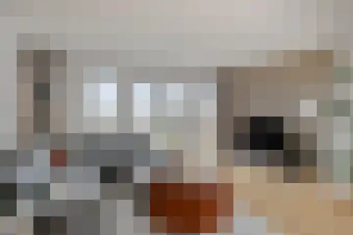 Frontonstraat 85 Helmond thumbnail 22