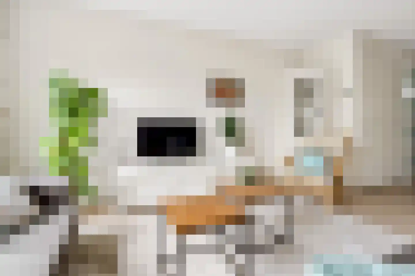 Frontoweg 10 De Meern thumbnail 10