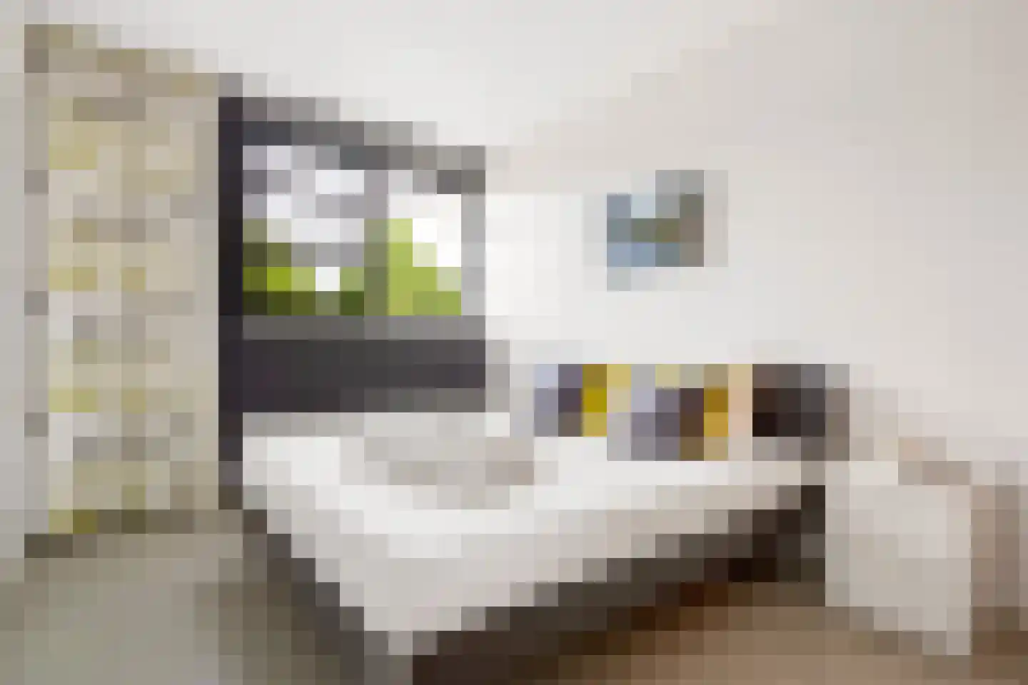 Frontoweg 10 De Meern thumbnail 16