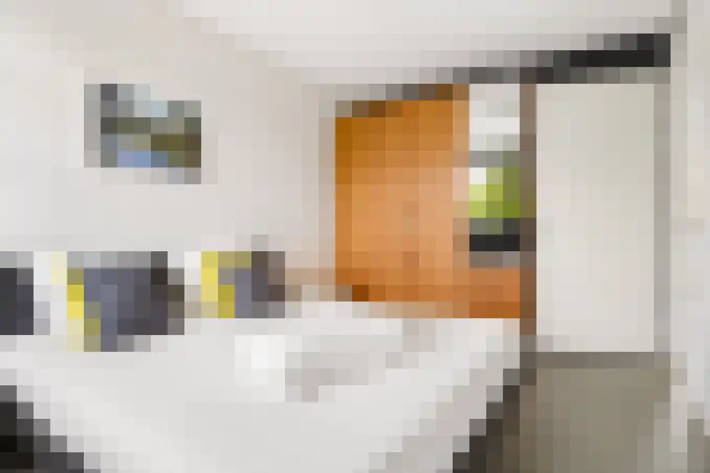 Frontoweg 10 De Meern thumbnail 17