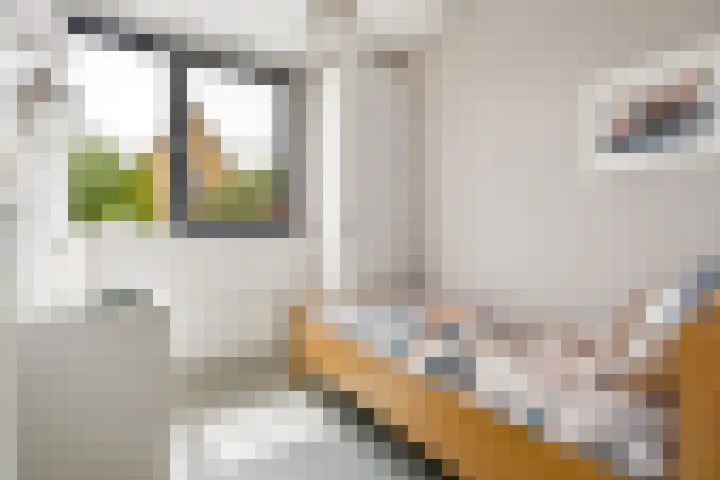 Frontoweg 10 De Meern thumbnail 18