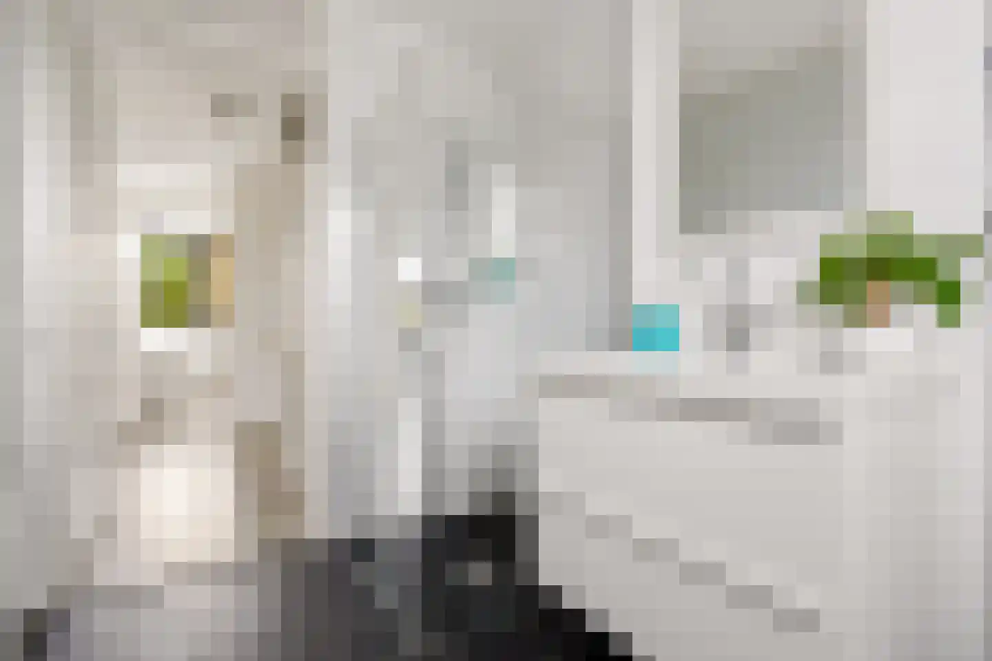 Frontoweg 10 De Meern thumbnail 24