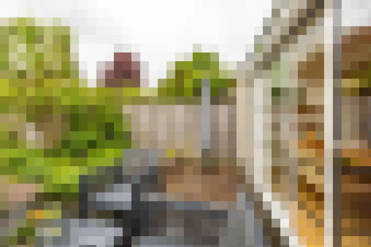 Froukemaheerd 188 Groningen thumbnail 25
