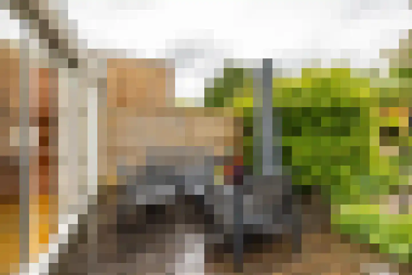 Froukemaheerd 188 Groningen thumbnail 26