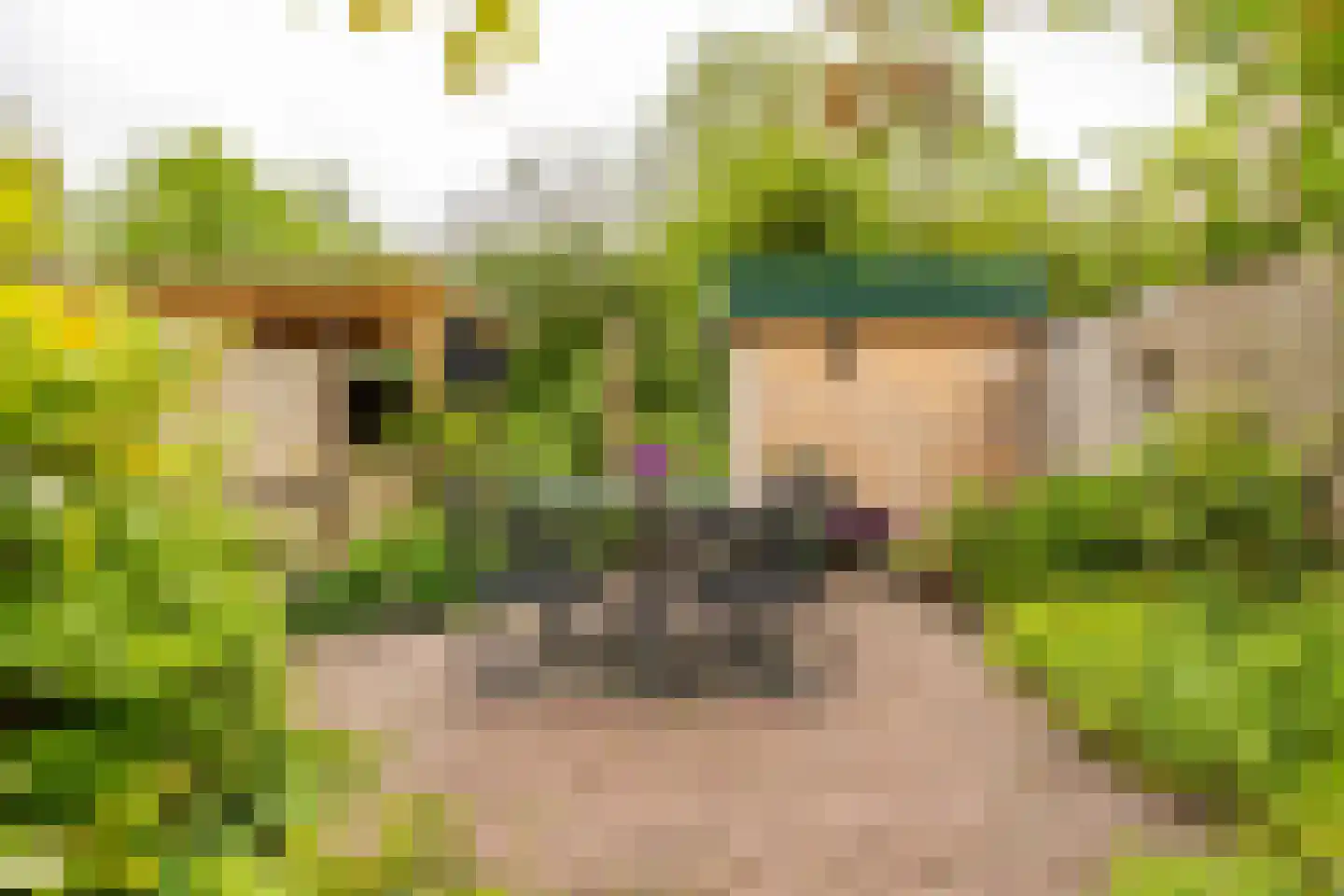 Froukemaheerd 188 Groningen thumbnail 28