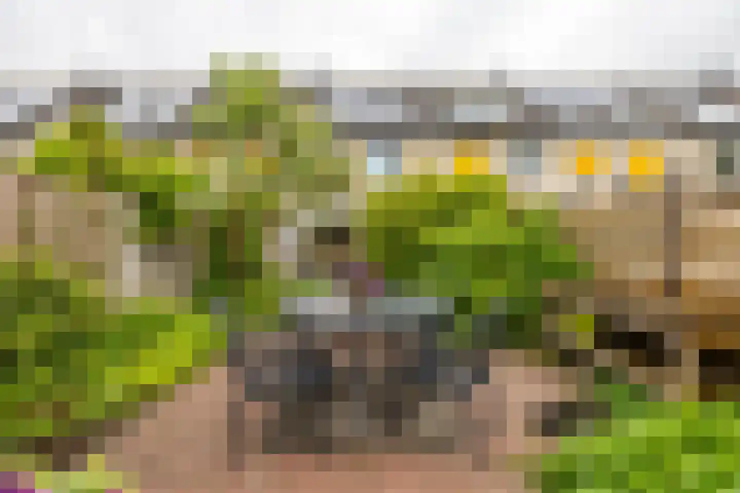 Froukemaheerd 188 Groningen thumbnail 31