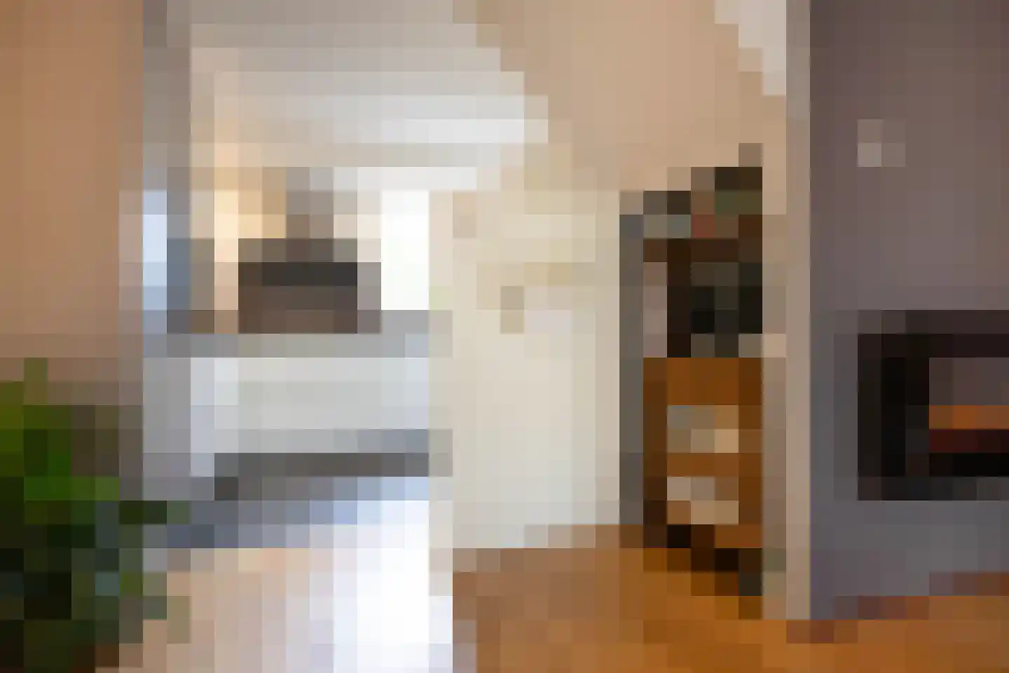 Froukemaheerd 188 Groningen thumbnail 34