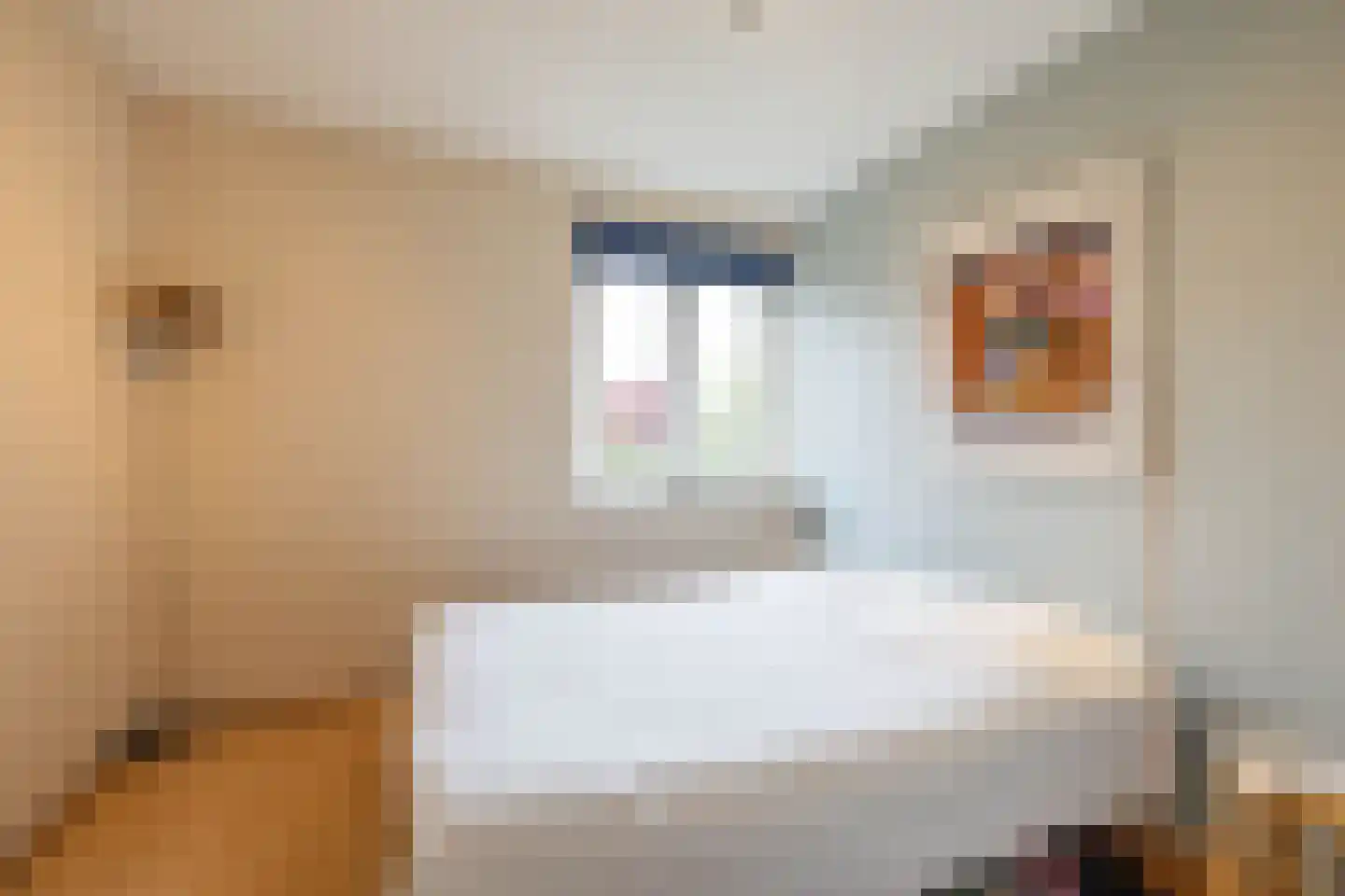 Froukemaheerd 188 Groningen thumbnail 38