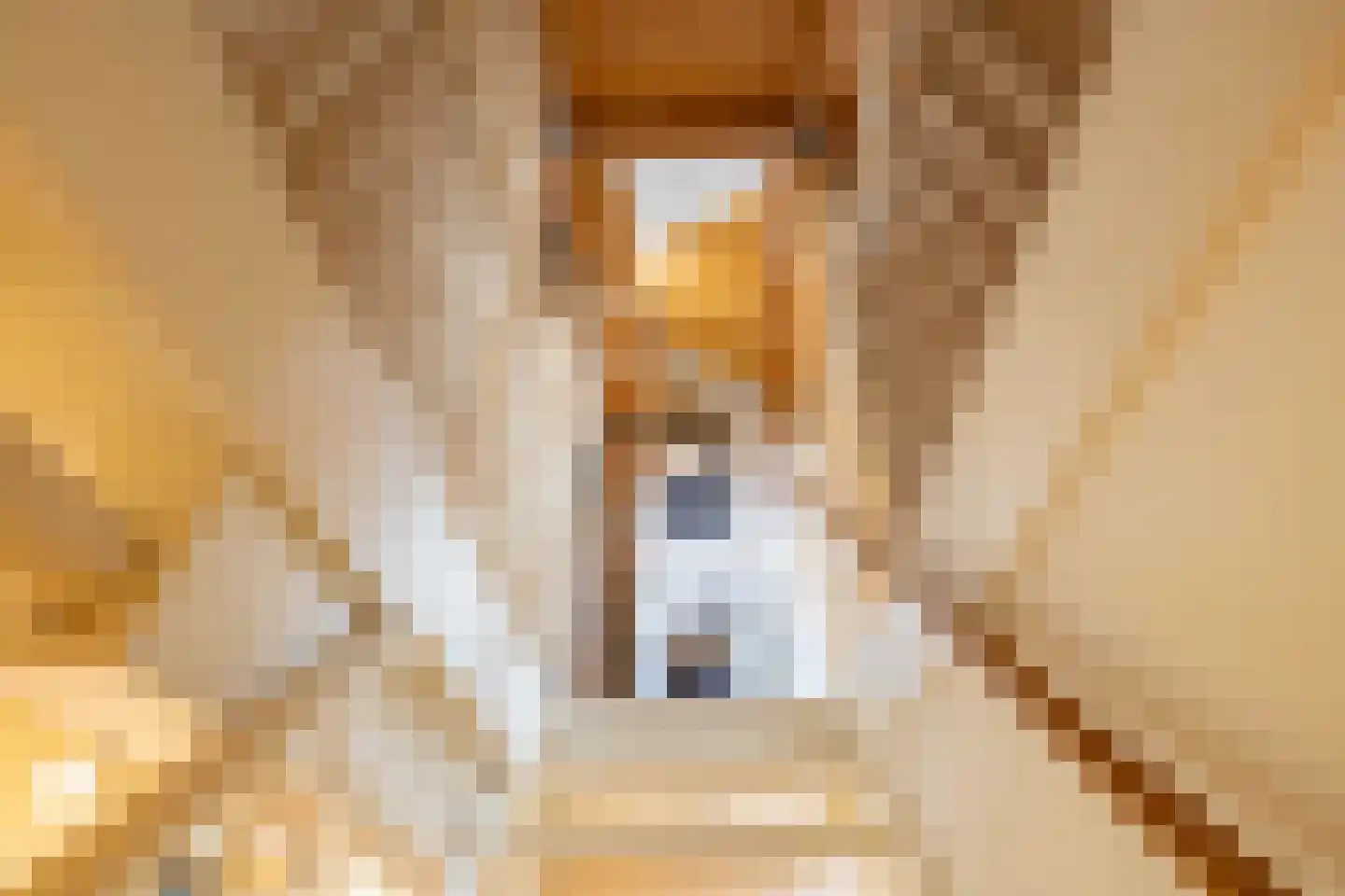 Froukemaheerd 188 Groningen thumbnail 48