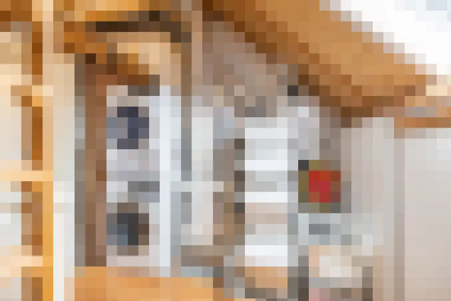 Froukemaheerd 188 Groningen thumbnail 49