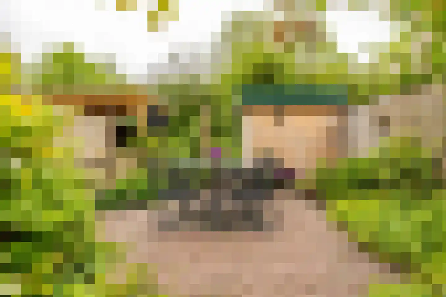 Froukemaheerd 188 Groningen thumbnail 5