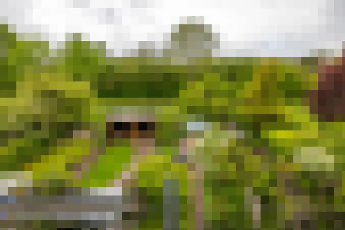 Froukemaheerd 188 Groningen thumbnail 54