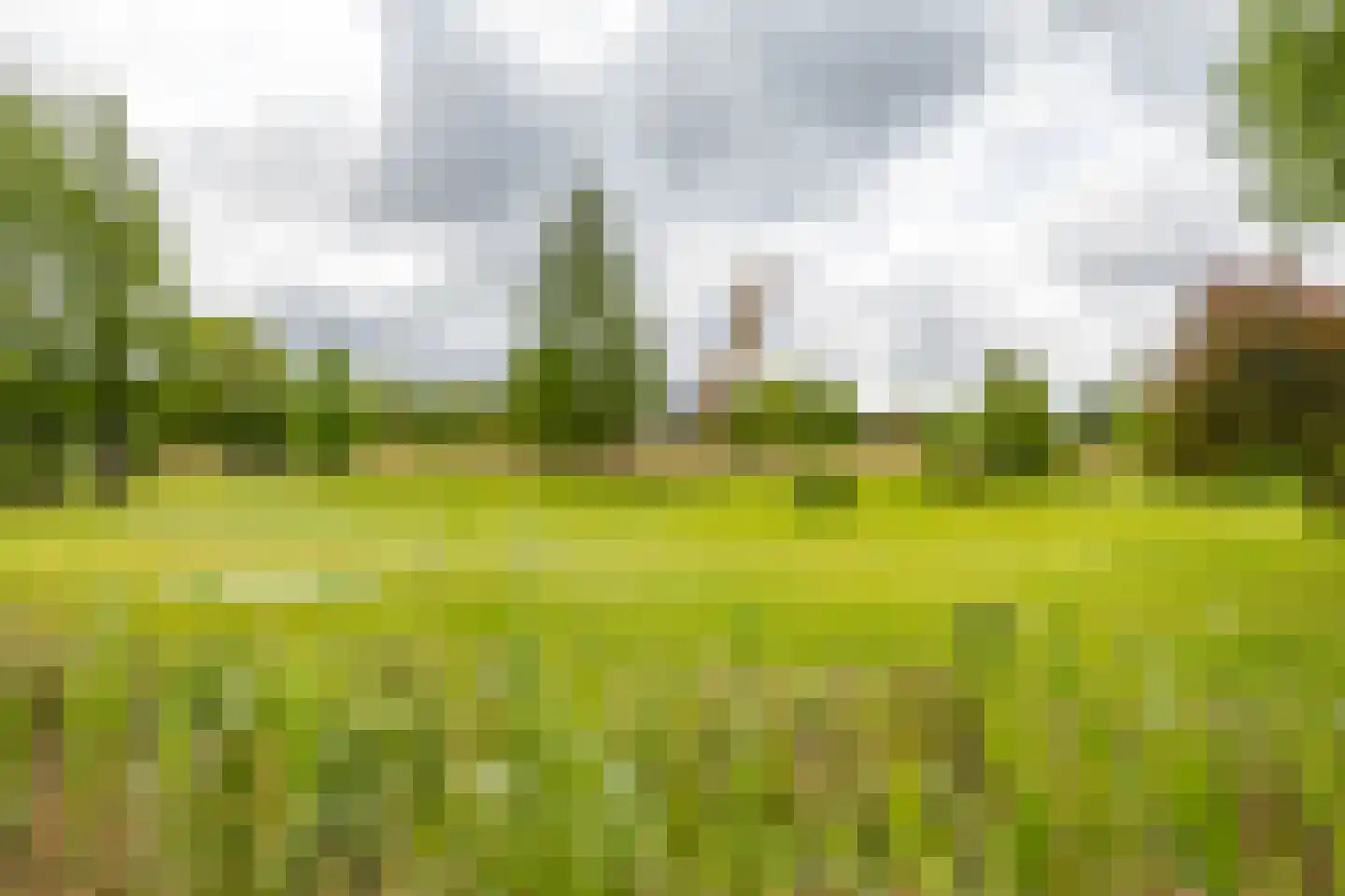 Froukemaheerd 188 Groningen thumbnail 7