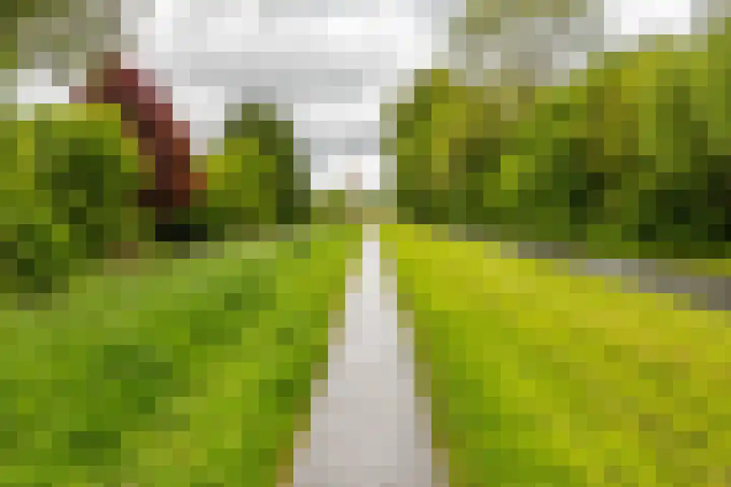 Froukemaheerd 188 Groningen thumbnail 8