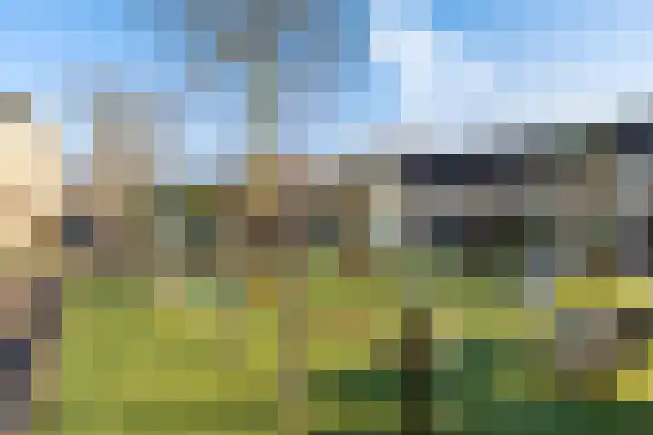Froukemaheerd 191 Groningen thumbnail 11