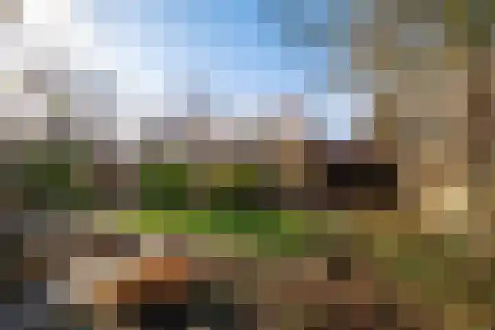 Froukemaheerd 191 Groningen thumbnail 16