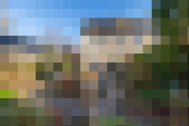 Froukemaheerd 191 Groningen thumbnail 18