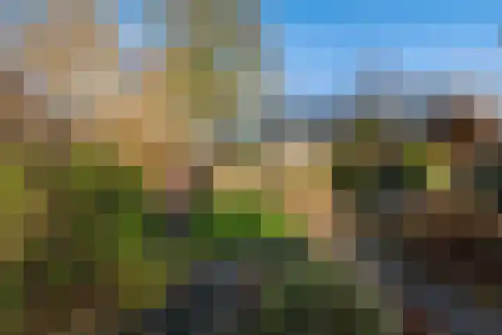Froukemaheerd 191 Groningen thumbnail 19