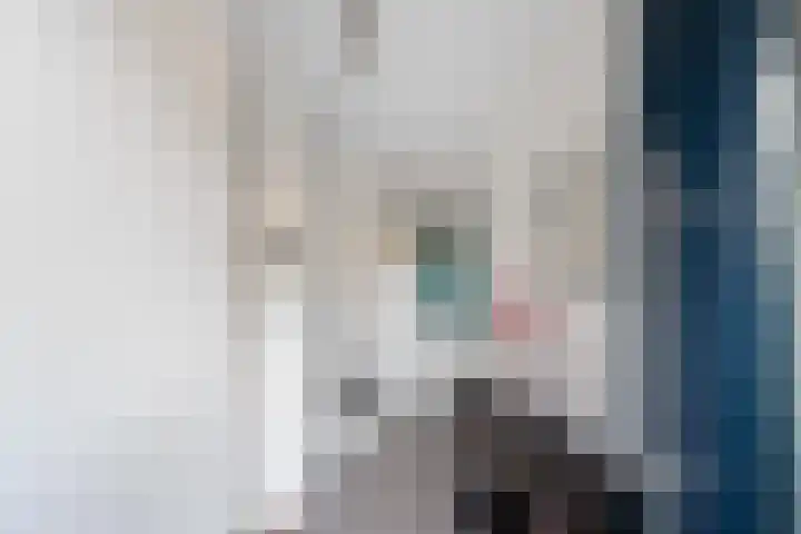 Froukemaheerd 191 Groningen thumbnail 23