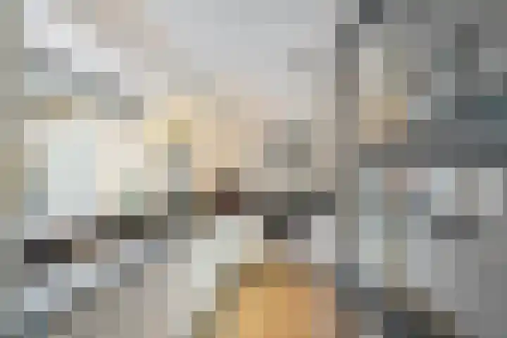 Froukemaheerd 191 Groningen thumbnail 26