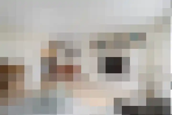 Froukemaheerd 191 Groningen thumbnail 33